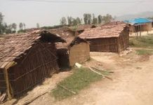 जिल्लाको मुसहर बस्ति स्मार्ट बन्दै